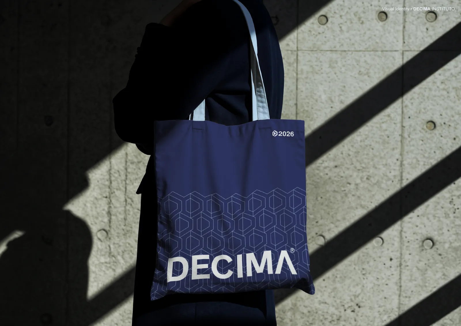 Decima Instituto, prancha 24 de 34